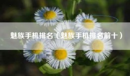 魅族手机排名（魅族手机排名前十）