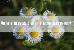 如何手机双清（如何手机双清教程图片）