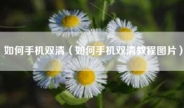 如何手机双清（如何手机双清教程图片）