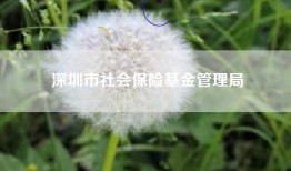深圳市社会保险基金管理局