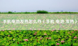 手机电池发热怎么办（手机 电池 发热）