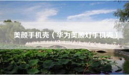 美颜手机壳（华为美颜灯手机壳）