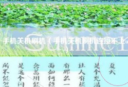 手机关机刷机（手机关机刷机连接不上u）