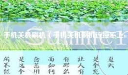 手机关机刷机（手机关机刷机连接不上u）