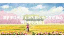 调节手机亮度（华为怎么永久关闭自动调节手机亮度）
