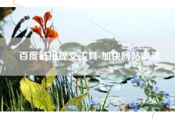 百度链接提交工具-加快网站收录