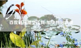百度链接提交工具-加快网站收录