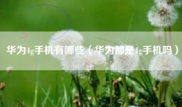 华为4g手机有哪些(华为都是4g手机吗)