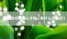 现在适合买什么手机（买什么手机好）