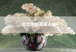 微信地图商家入驻