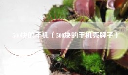 500块的手机（500块的手机壳牌子）