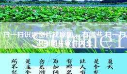 扫一扫识别图片找原图app有哪些 扫一扫识别图片软件大全