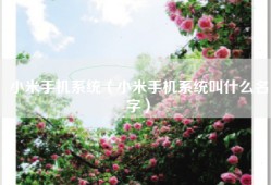 小米手机系统（小米手机系统叫什么名字）