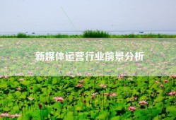 新媒体运营行业前景分析