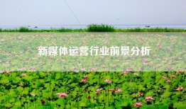 新媒体运营行业前景分析