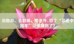 出国游、去县城、带老外...首个“非遗中国年”让谁赚到了？