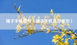 锤子手机型号（锤子手机全部机型）