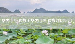 华为手机参数(华为手机参数对比平台)