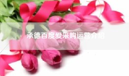 承德百度爱采购运营介绍