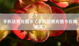 手机话费充值卡（手机话费充值卡在哪里买）