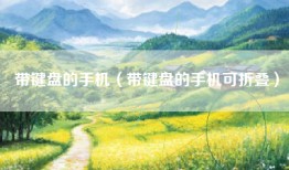 带键盘的手机（带键盘的手机可折叠）