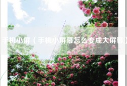 手机小屏（手机小屏幕怎么变成大屏幕）