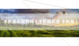 手机模拟器在线（手机模拟器 手机版）