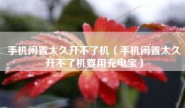 手机闲置太久开不了机（手机闲置太久开不了机要用充电宝）