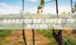 安卓手机文件管理器（安卓手机文件管理器在哪里）