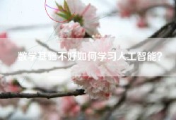数学基础不好如何学习人工智能？