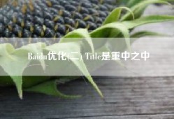 Baidu优化(二) Title是重中之中