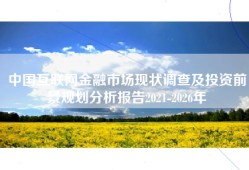 中国互联网金融市场现状调查及投资前景规划分析报告2021-2026年
