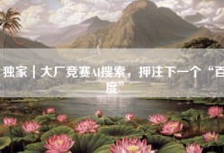 独家｜大厂竞赛AI搜索，押注下一个“百度”
