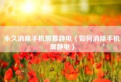 永久消除手机屏幕静电（如何消除手机屏静电）