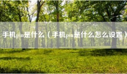 手机pin是什么（手机pin是什么怎么设置）
