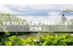 手机为什么充不起电（手机为什么充不起电呢）
