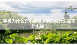 手机为什么充不起电（手机为什么充不起电呢）