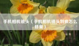 手机相机镜头（手机相机镜头划痕怎么修复）