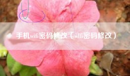 手机wifi密码修改(wlfi密码修改)