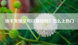 快手发图文可以赚钱吗？怎么上热门