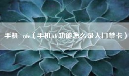手机  nfc（手机nfc功能怎么录入门禁卡）