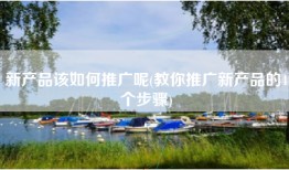 新产品该如何推广呢(教你推广新产品的4个步骤)