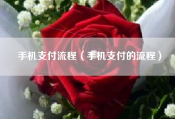 手机支付流程（手机支付的流程）