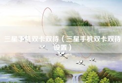三星手机双卡双待（三星手机双卡双待设置）