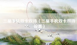三星手机双卡双待(三星手机双卡双待设置)