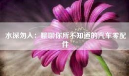 水深勿入:聊聊你所不知道的汽车零配件