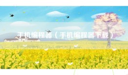 手机编程器（手机编程器下载）