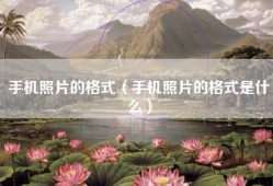 手机照片的格式（手机照片的格式是什么）