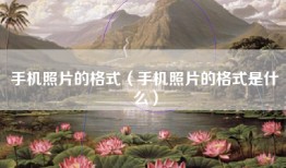 手机照片的格式（手机照片的格式是什么）