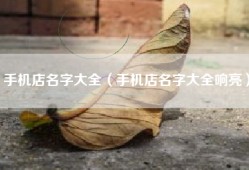手机店名字大全（手机店名字大全响亮）